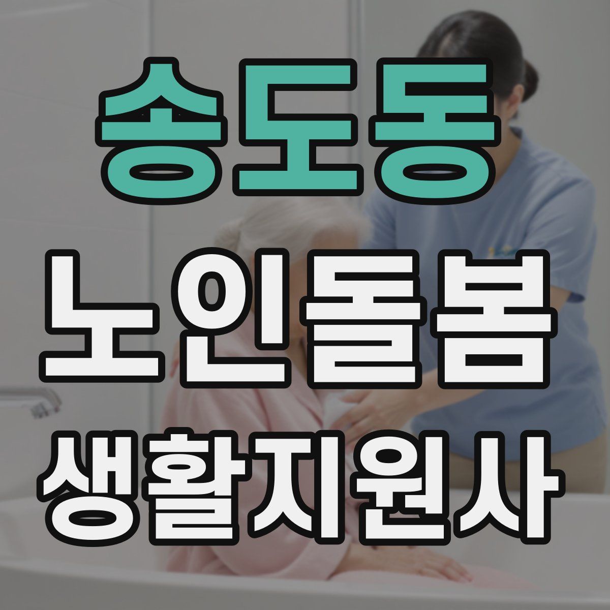 송도동 노인돌봄생활지원사 자격증