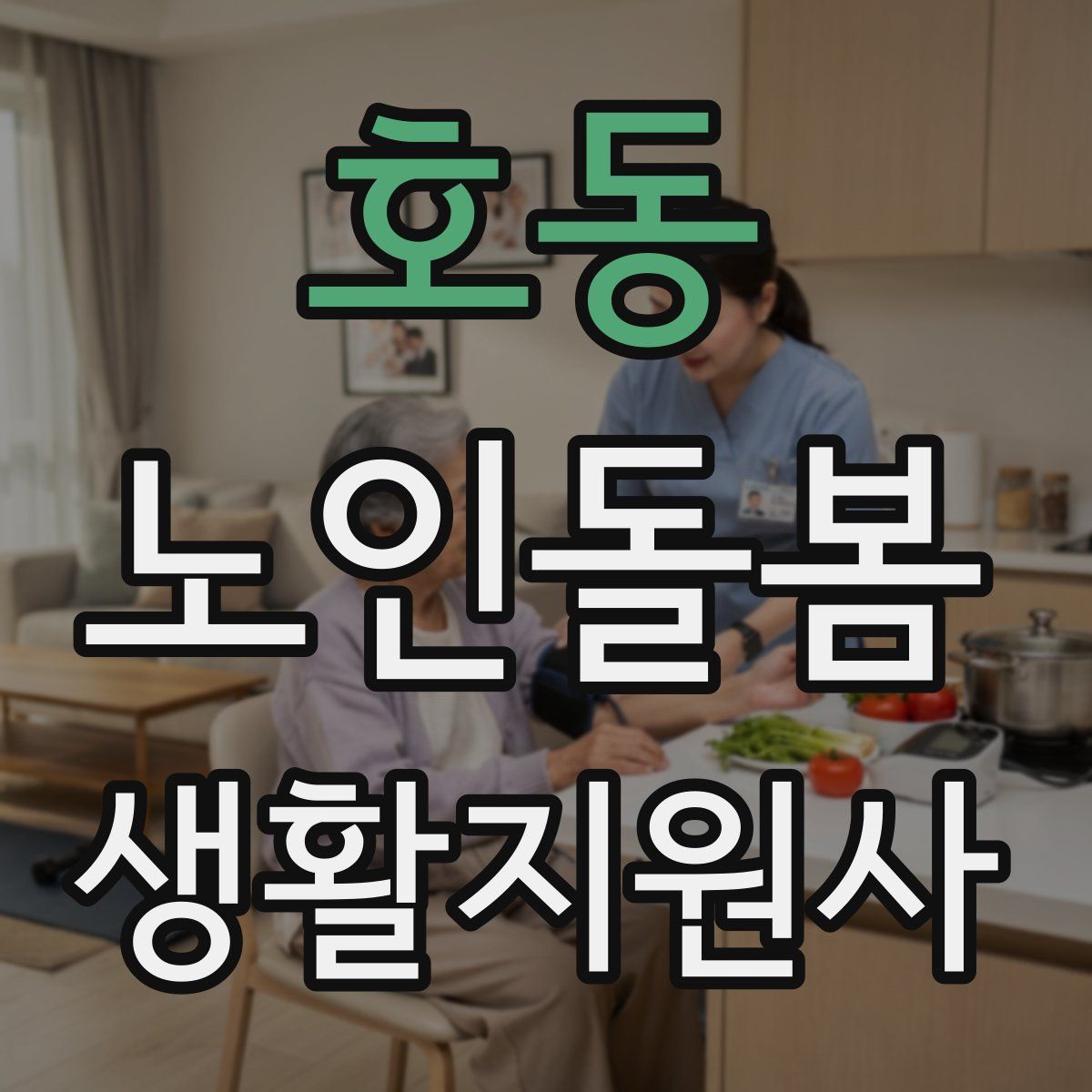 호동 노인돌봄생활지원사 자격증