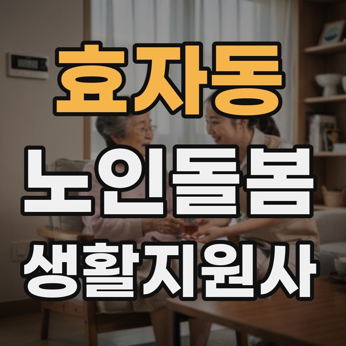 효자동 노인돌봄생활지원사 자격증