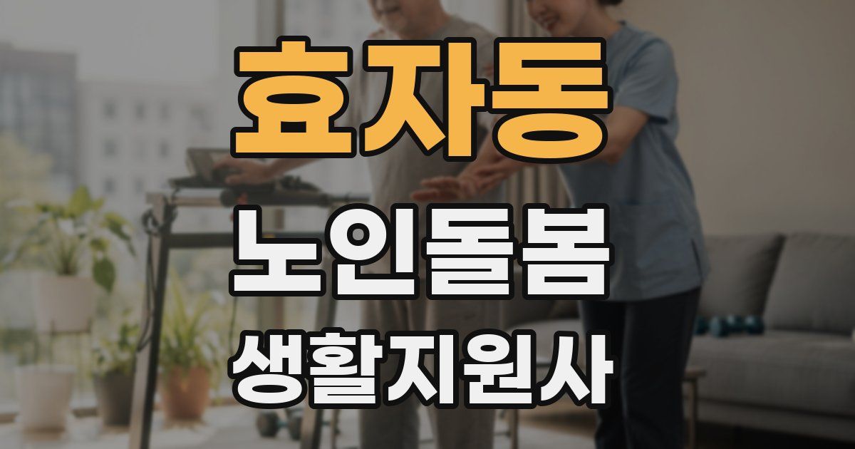 효자동 노인돌봄생활지원사 자격증