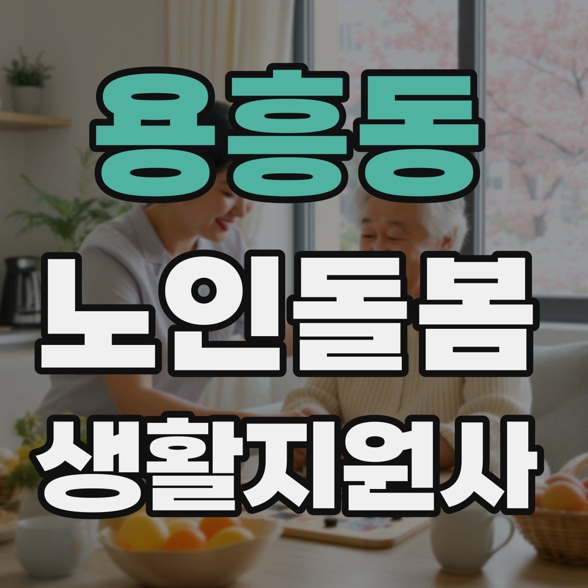 용흥동 노인돌봄생활지원사 자격증 초행길 방문 시 동선 체크 포인트