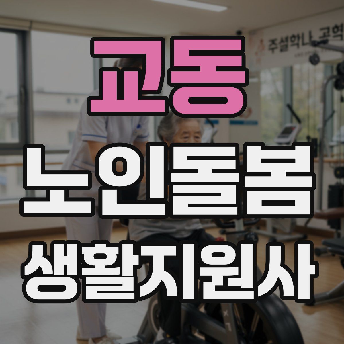 교동 노인돌봄생활지원사 자격증