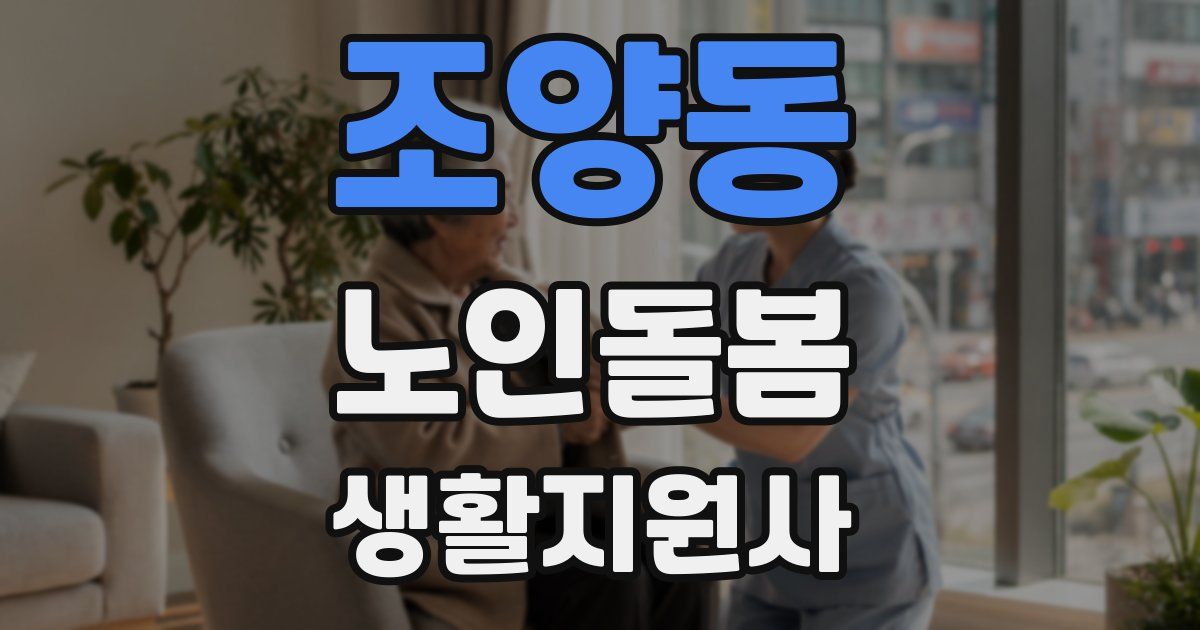 조양동 노인돌봄생활지원사 자격증