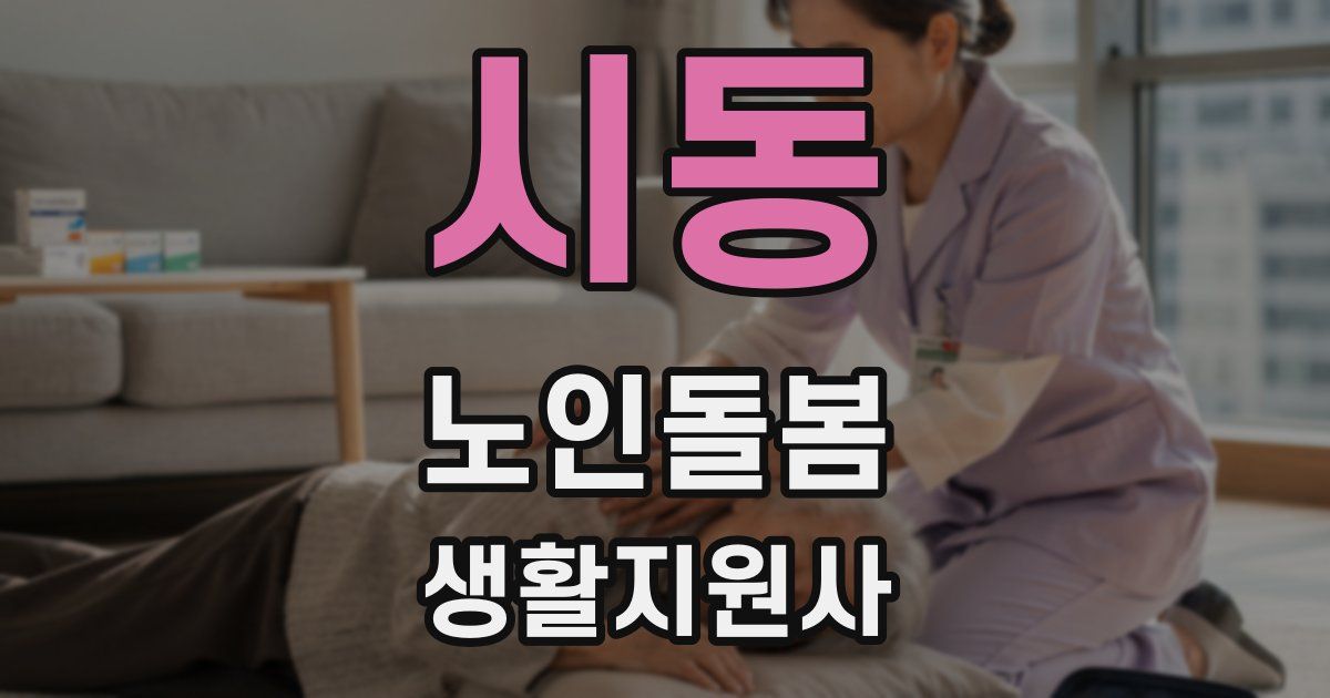 시동 노인돌봄생활지원사 자격증