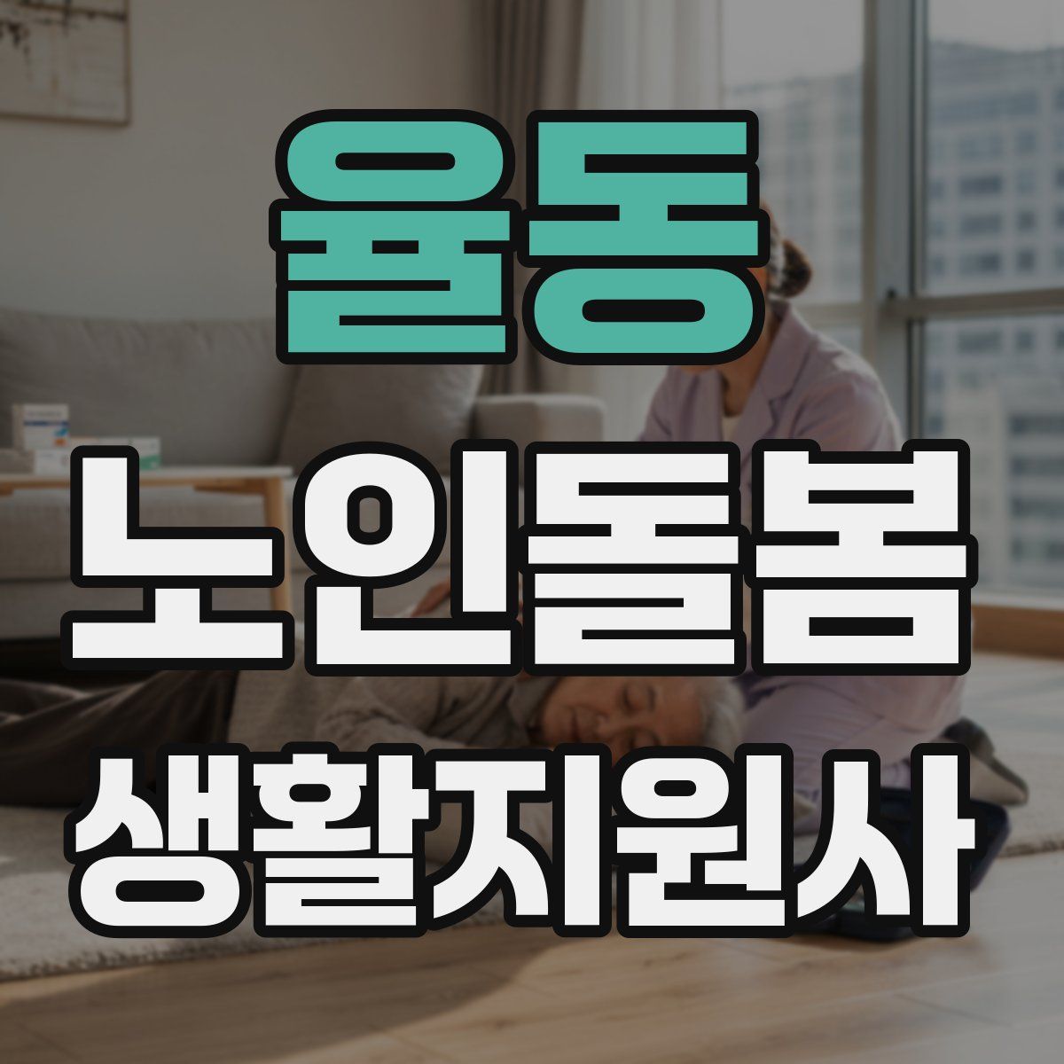 율동 노인돌봄생활지원사 자격증