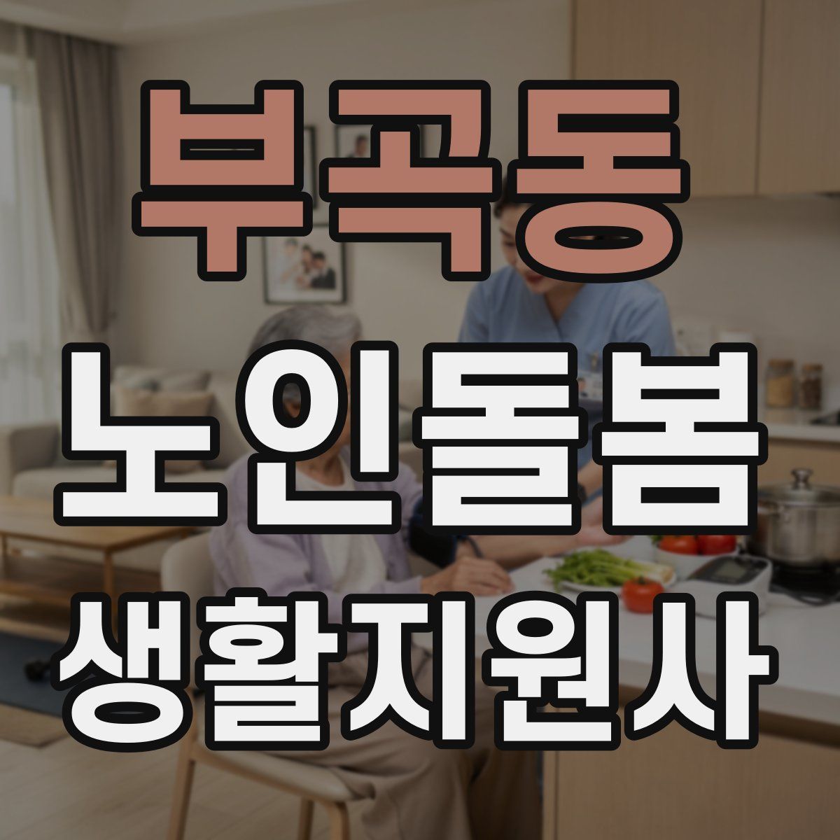 부곡동 노인돌봄생활지원사 자격증