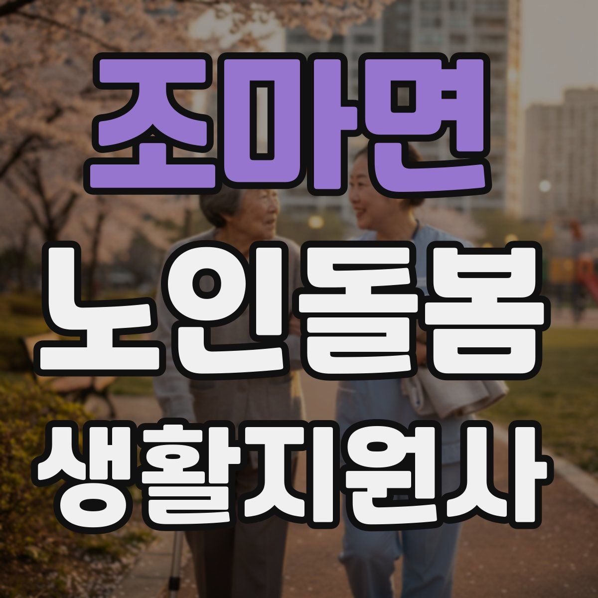 조마면 노인돌봄생활지원사 자격증