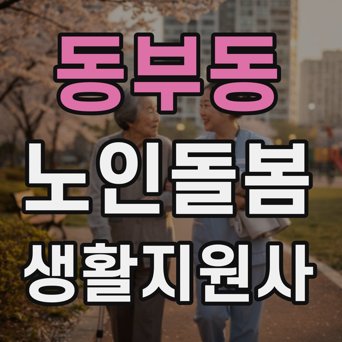 동부동 노인돌봄생활지원사 자격증