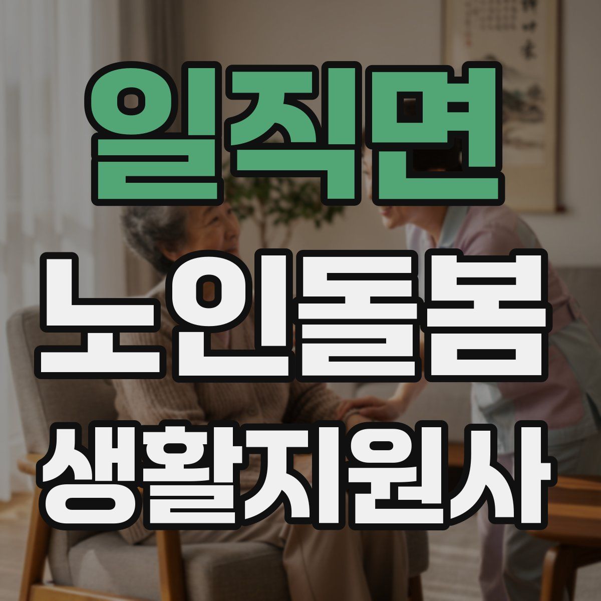 일직면 노인돌봄생활지원사 자격증
