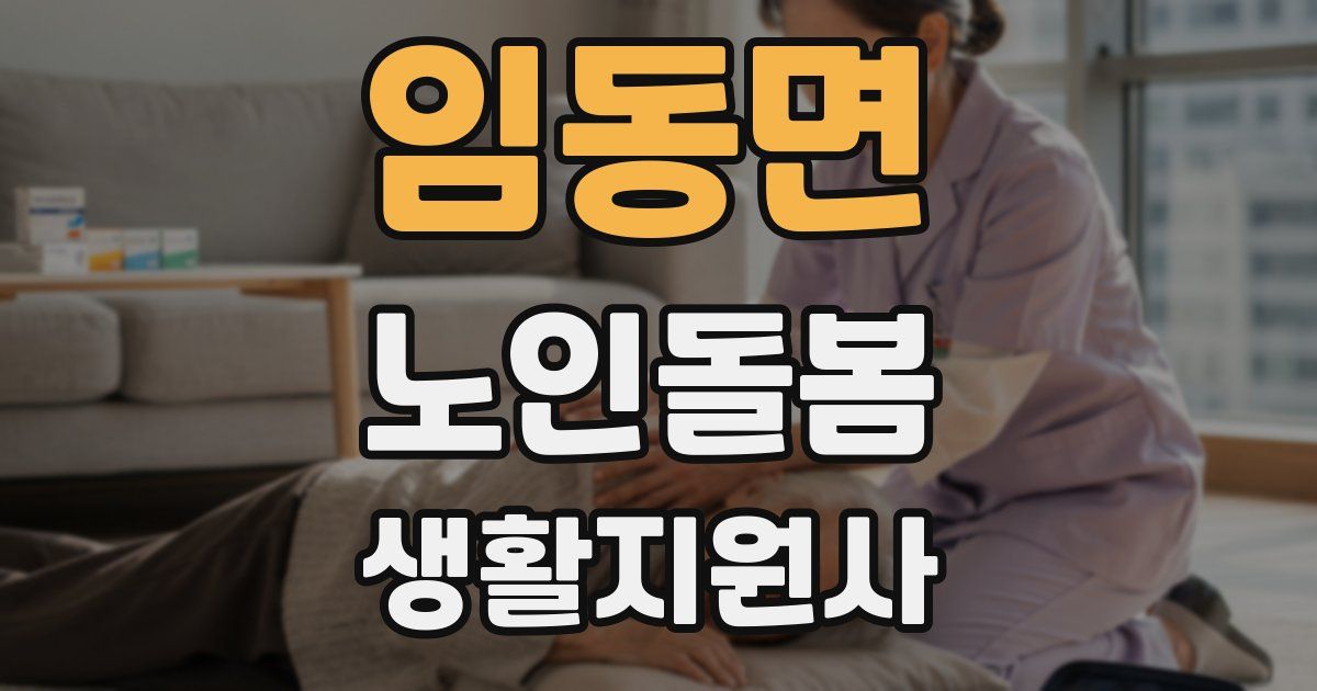 임동면 노인돌봄생활지원사 자격증