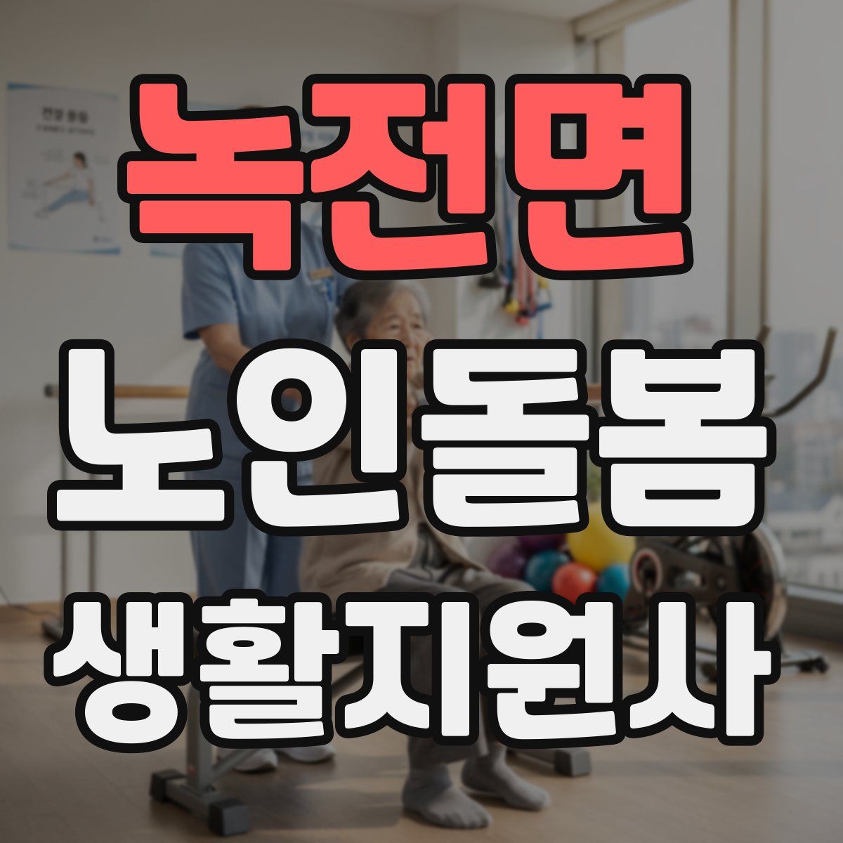 녹전면 노인돌봄생활지원사 자격증