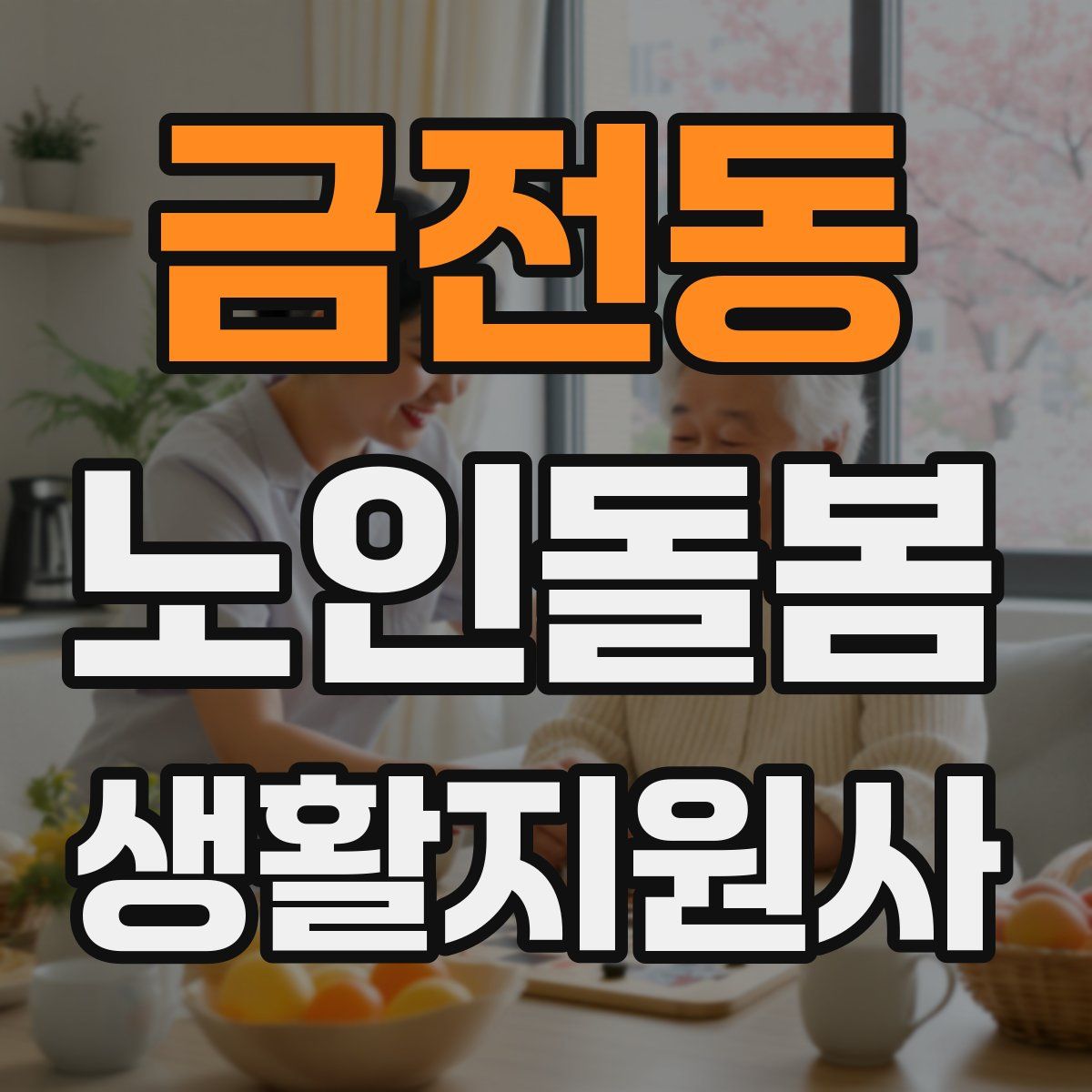 금전동 노인돌봄생활지원사 자격증
