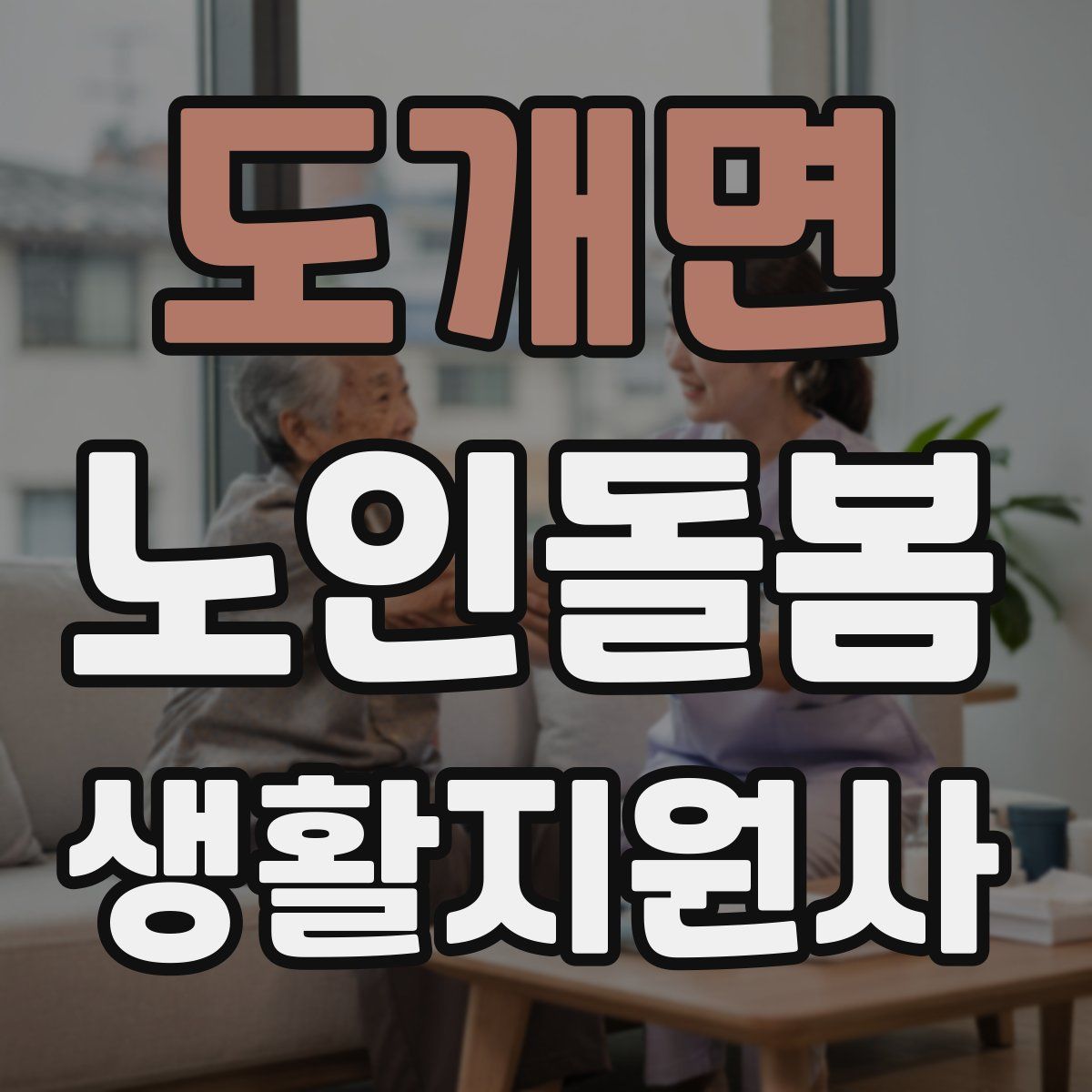 도개면 노인돌봄생활지원사 자격증