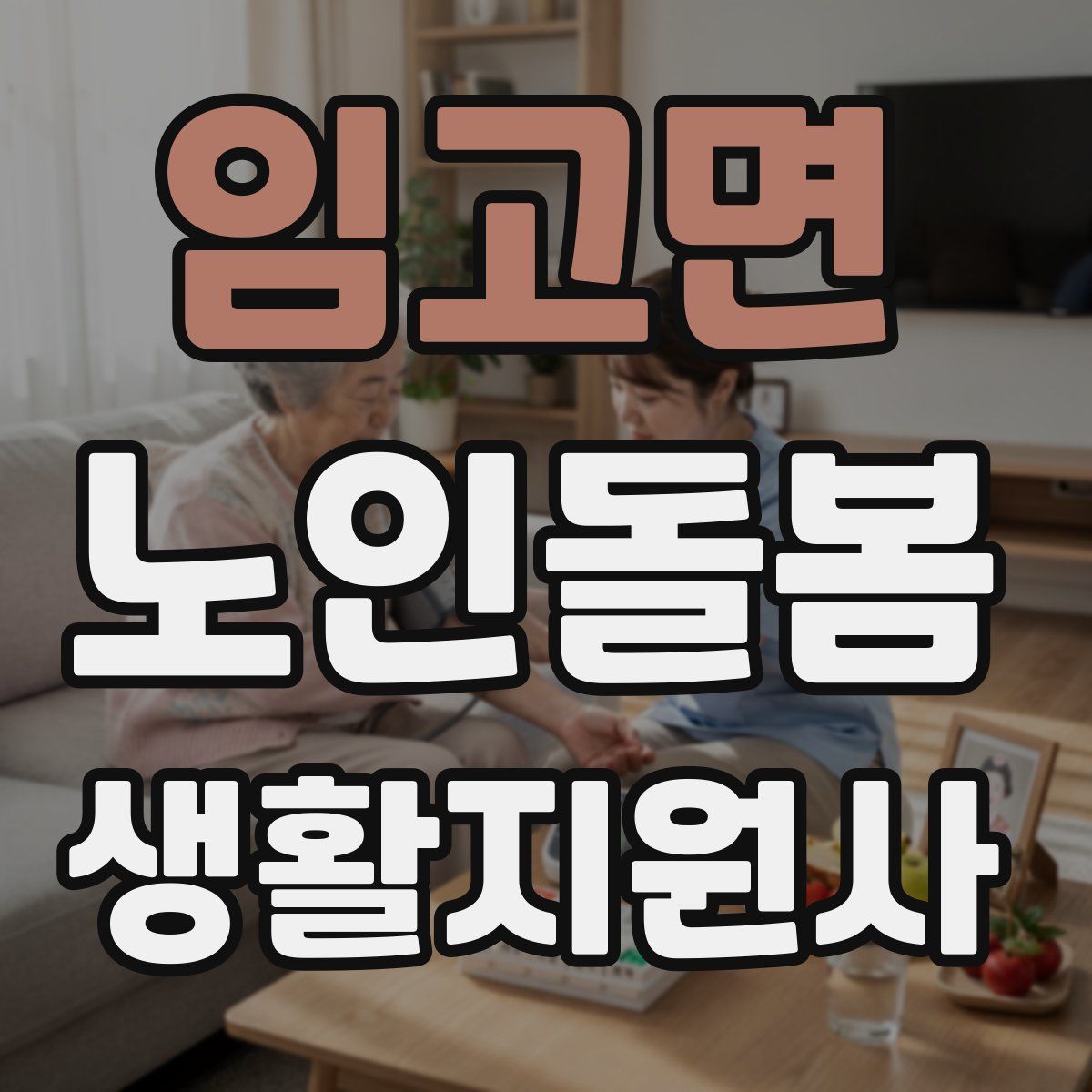 임고면 노인돌봄생활지원사 자격증