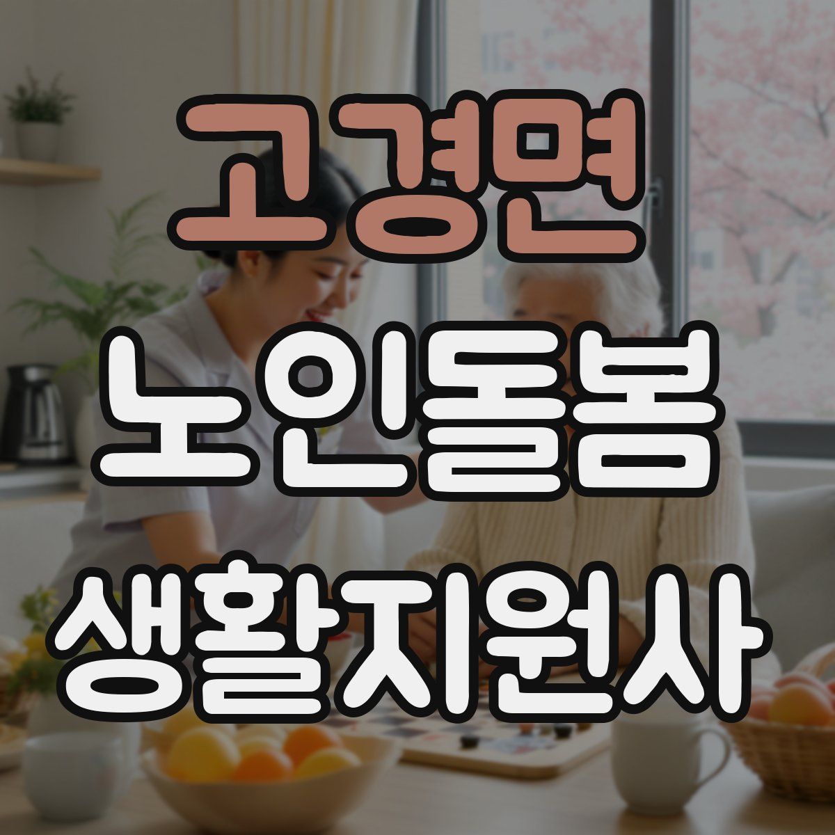 고경면 노인돌봄생활지원사 자격증