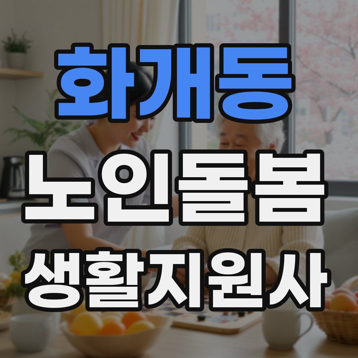 화개동 노인돌봄생활지원사 자격증