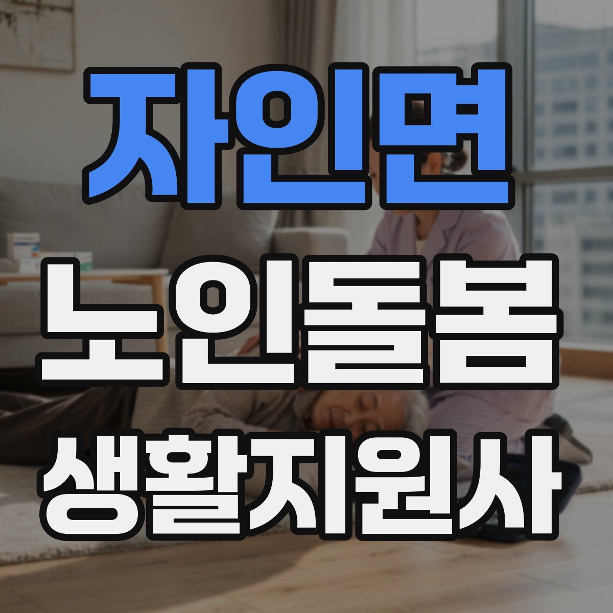 자인면 노인돌봄생활지원사 자격증