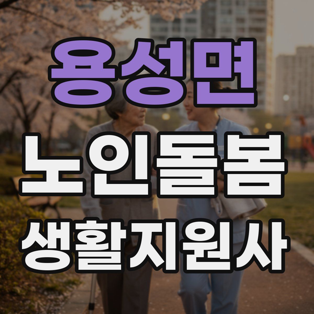 용성면 노인돌봄생활지원사 자격증