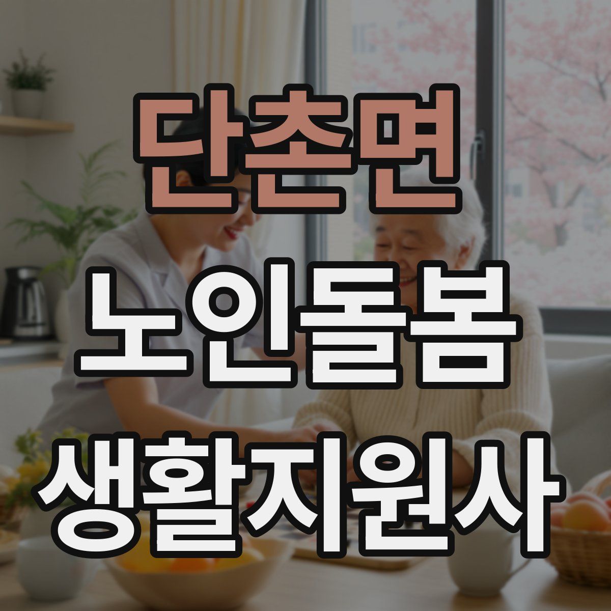 단촌면 노인돌봄생활지원사 자격증