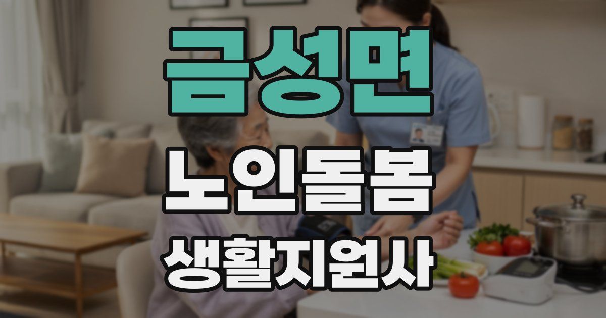 금성면 노인돌봄생활지원사 자격증