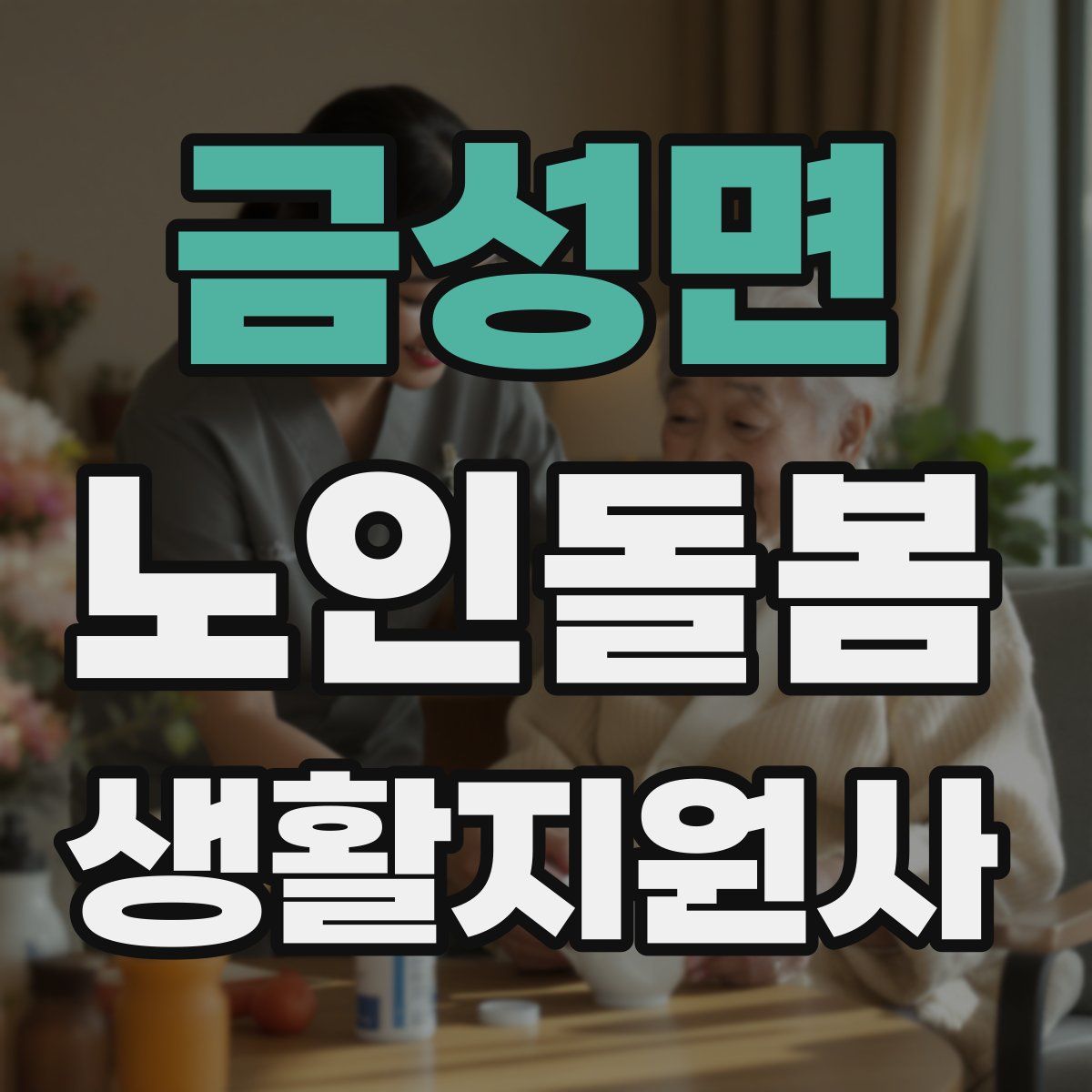금성면 노인돌봄생활지원사 자격증