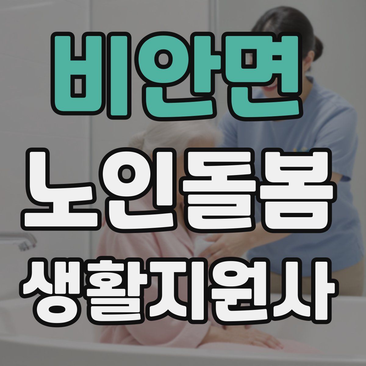 비안면 노인돌봄생활지원사 자격증