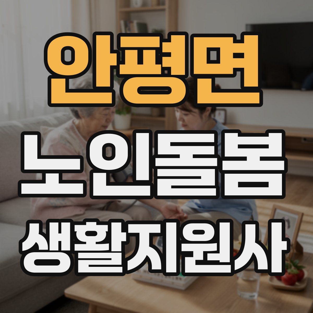 안평면 노인돌봄생활지원사 자격증
