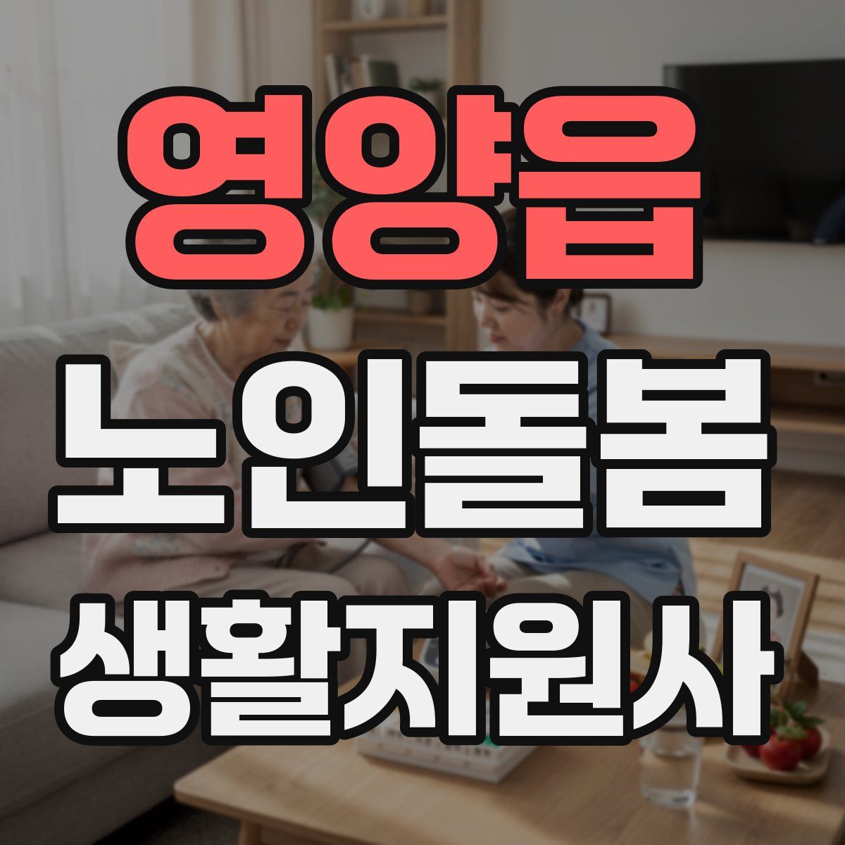 영양읍 노인돌봄생활지원사 자격증