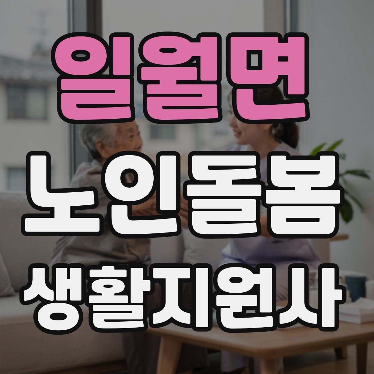 일월면 노인돌봄생활지원사 자격증