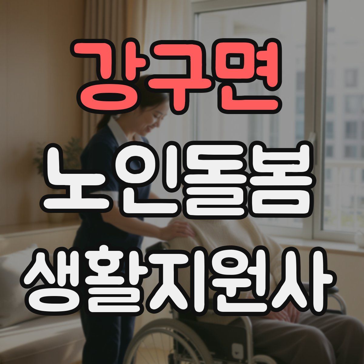 강구면 노인돌봄생활지원사 자격증