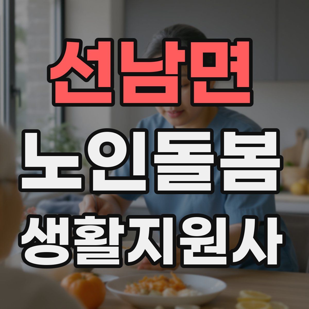 선남면 노인돌봄생활지원사 자격증