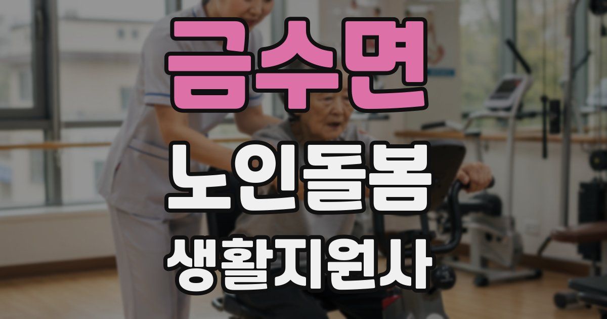 금수면 노인돌봄생활지원사 자격증