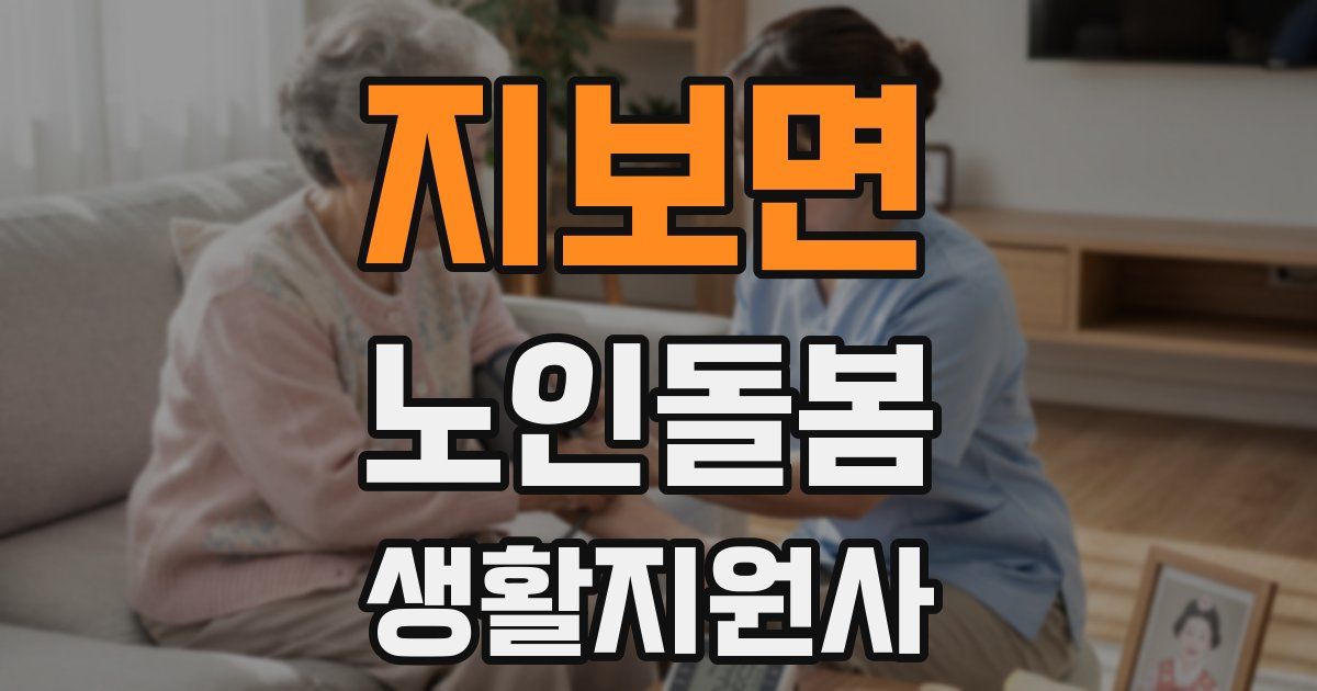 지보면 노인돌봄생활지원사 자격증