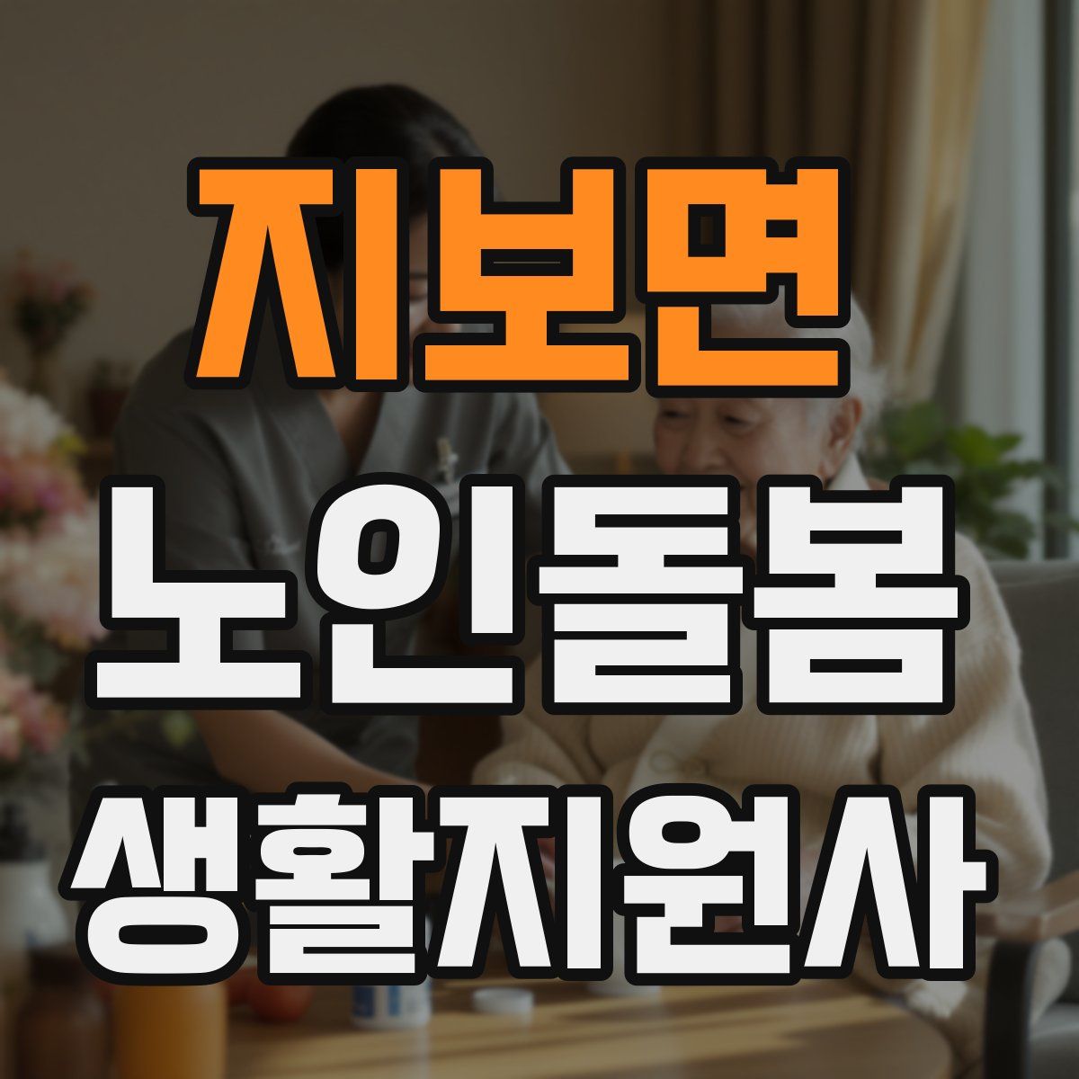 지보면 노인돌봄생활지원사 자격증