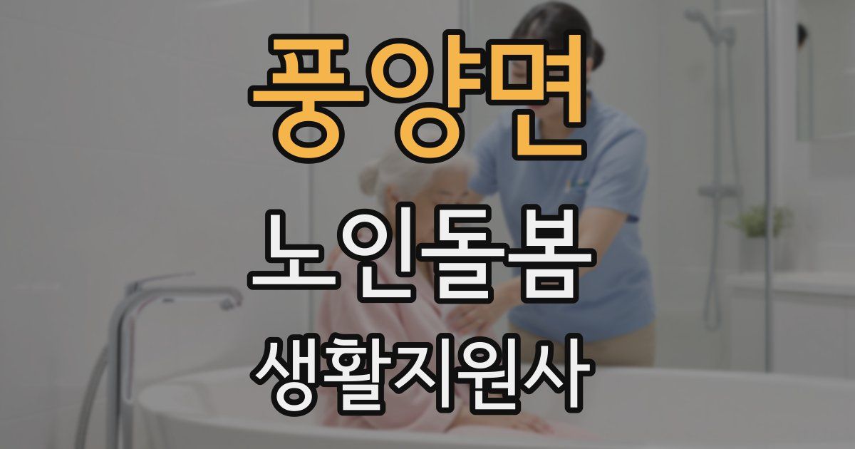 풍양면 노인돌봄생활지원사 자격증