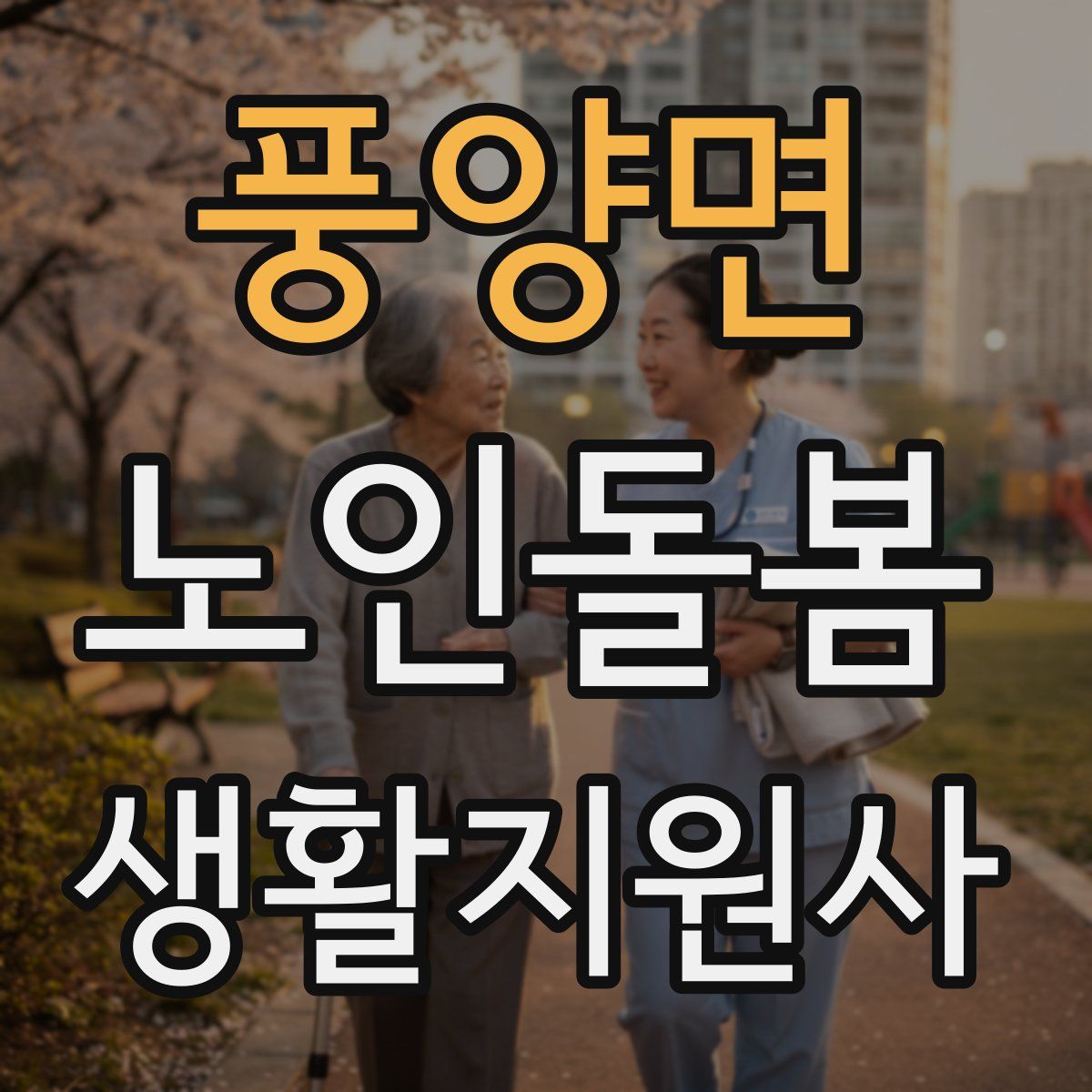 풍양면 노인돌봄생활지원사 자격증