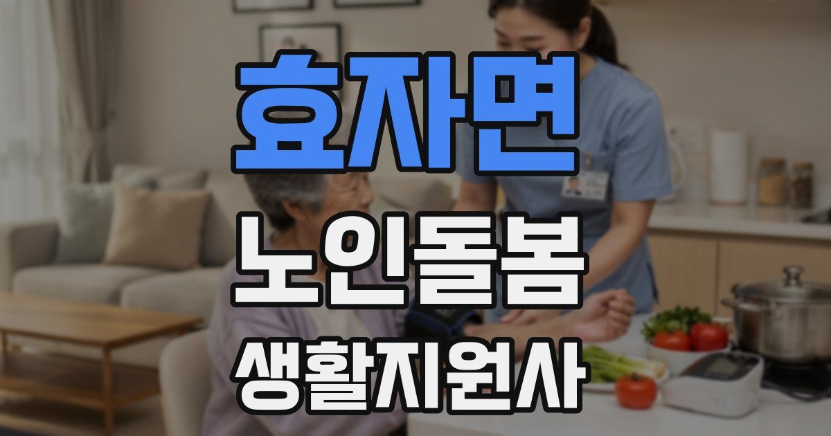 효자면 노인돌봄생활지원사 자격증