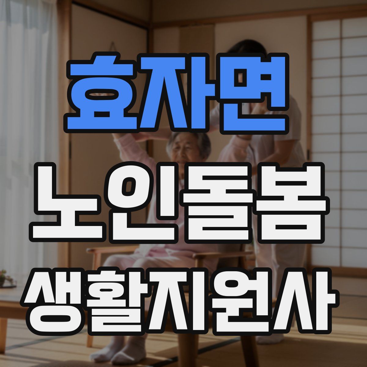효자면 노인돌봄생활지원사 자격증