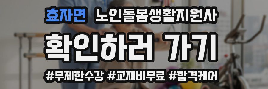 효자면 노인돌봄생활지원사 자격증