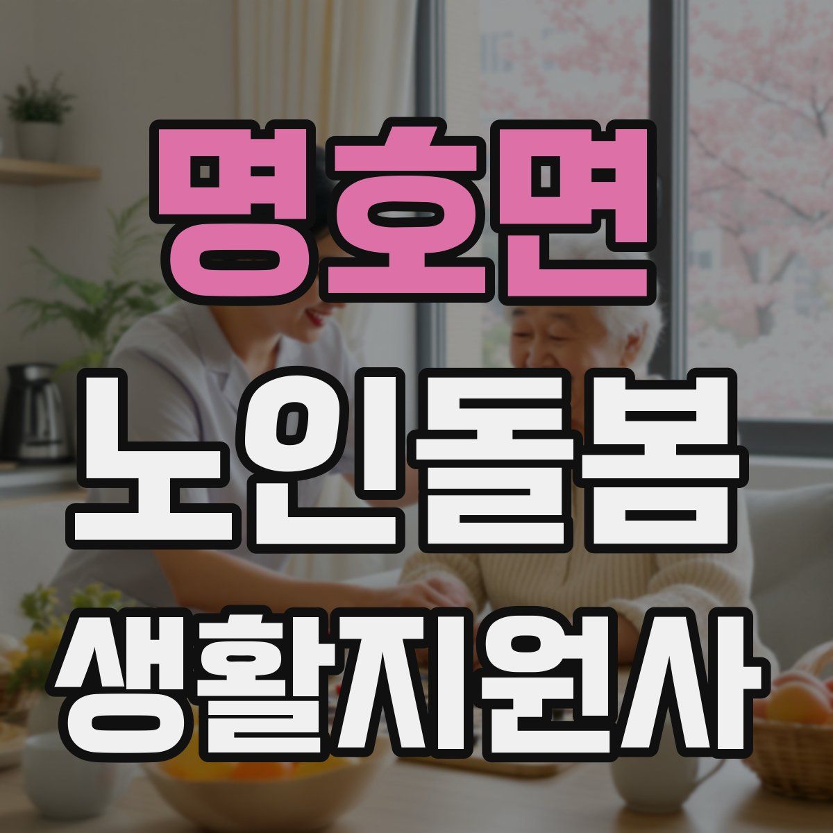 명호면 노인돌봄생활지원사 자격증