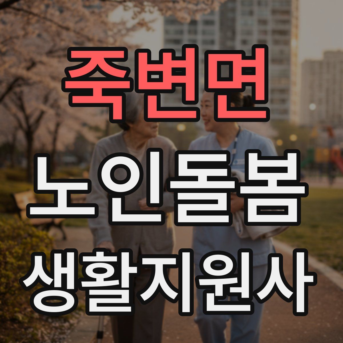 죽변면 노인돌봄생활지원사 자격증