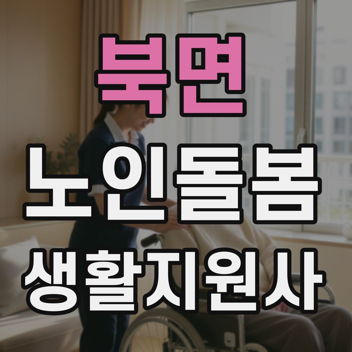 북면 노인돌봄생활지원사 자격증