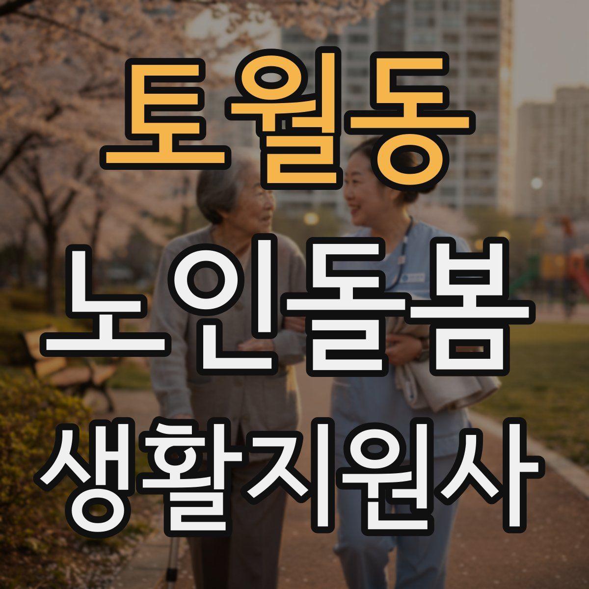 토월동 노인돌봄생활지원사 자격증