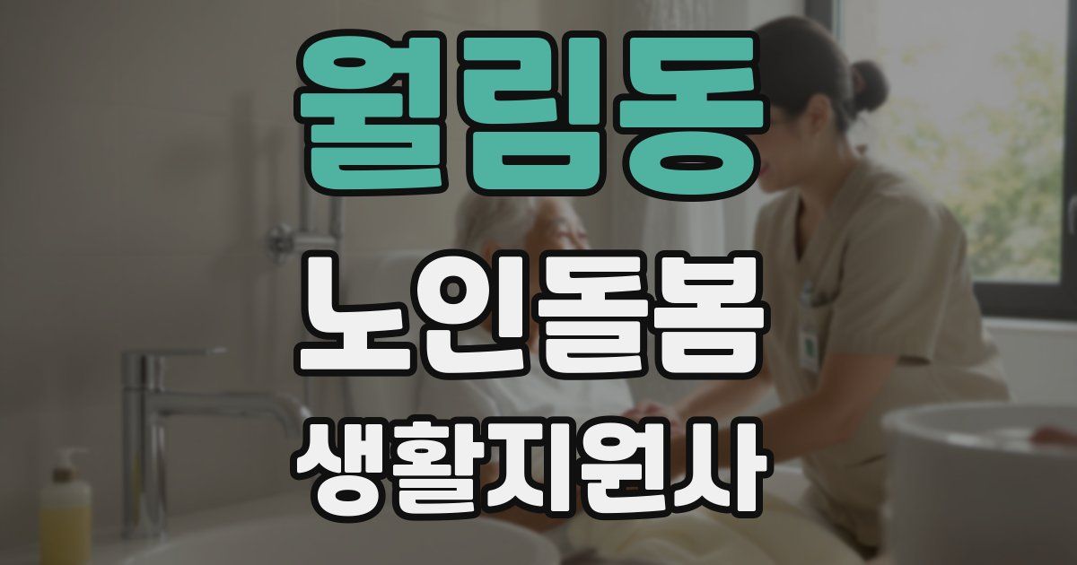 월림동 노인돌봄생활지원사 자격증