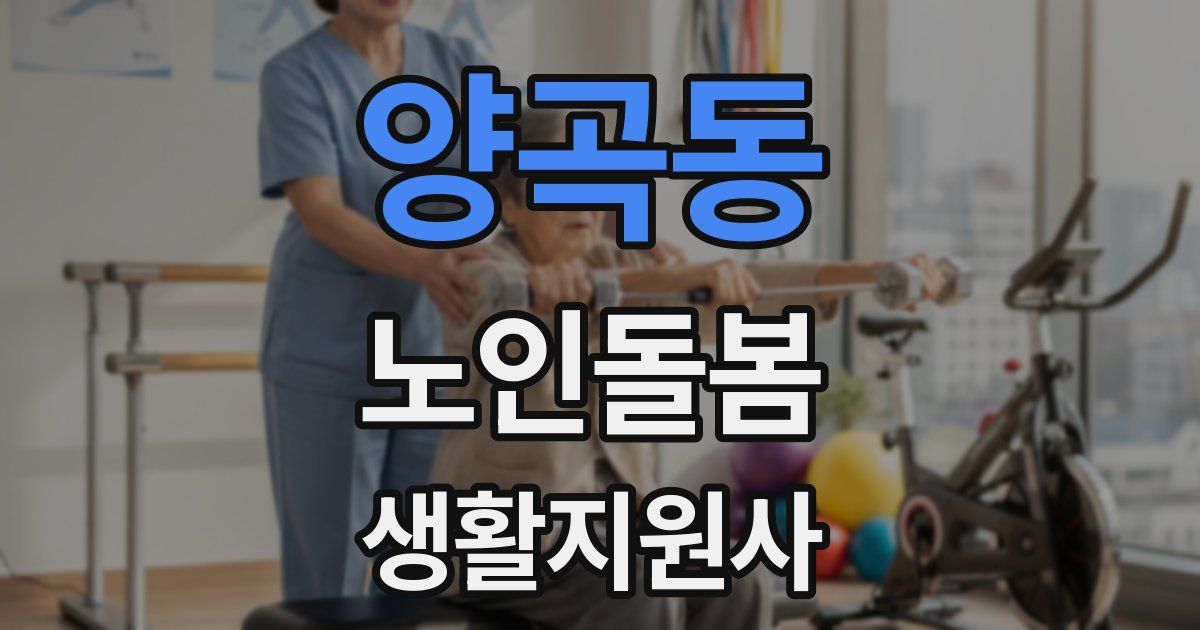 양곡동 노인돌봄생활지원사 자격증