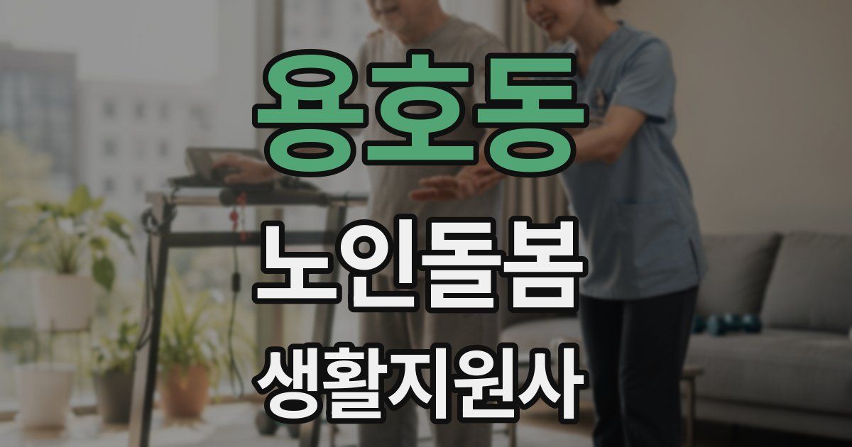 용호동 노인돌봄생활지원사 자격증