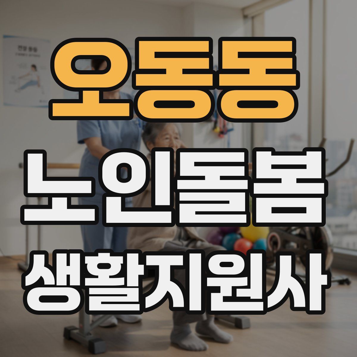 오동동 노인돌봄생활지원사 자격증