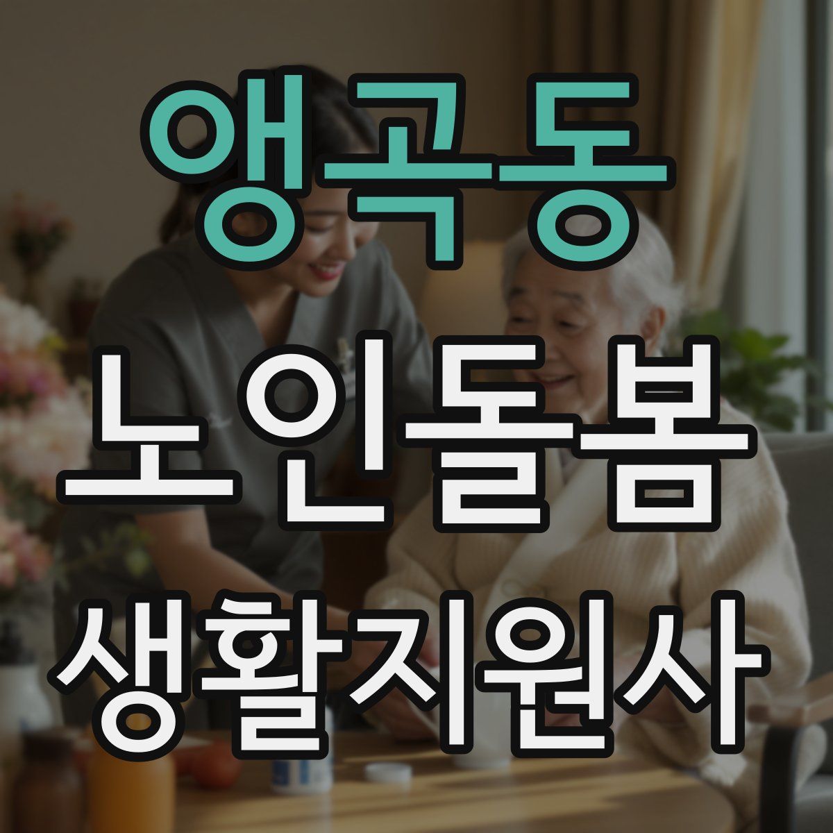 앵곡동 노인돌봄생활지원사 자격증