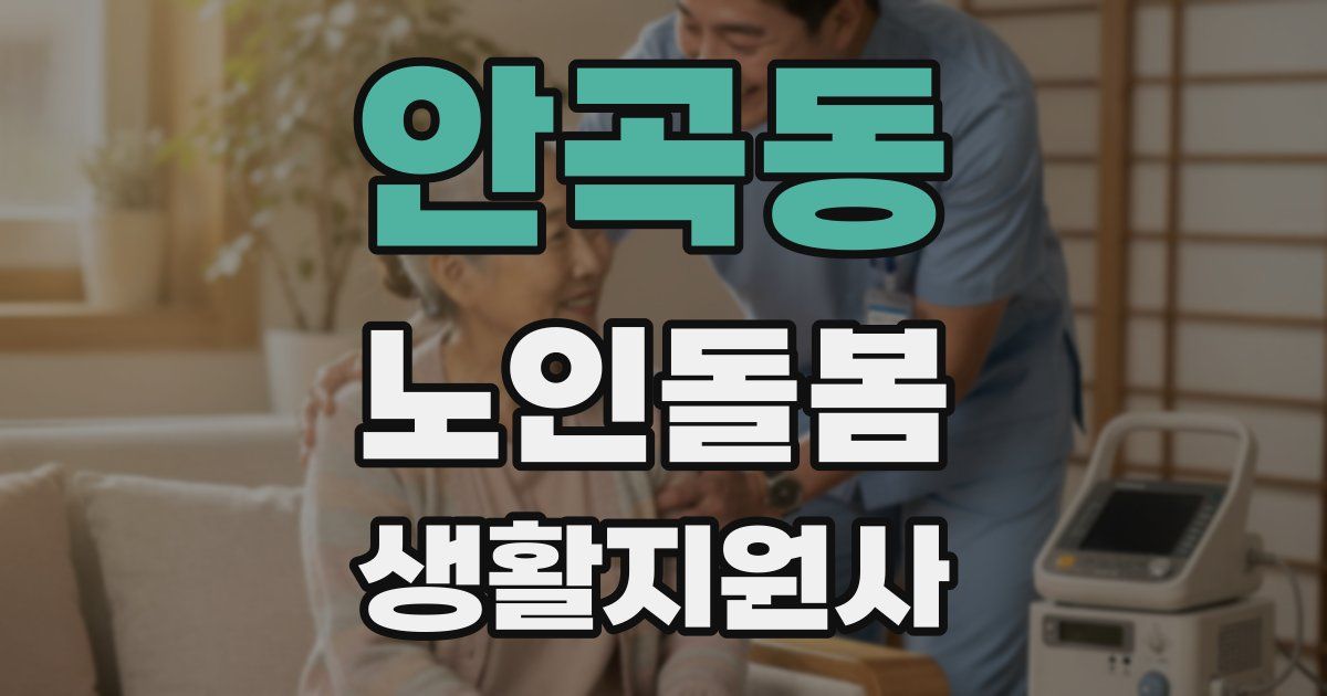 안곡동 노인돌봄생활지원사 자격증
