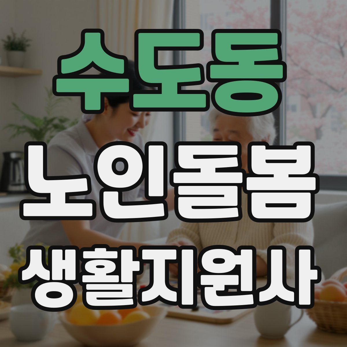 수도동 노인돌봄생활지원사 자격증